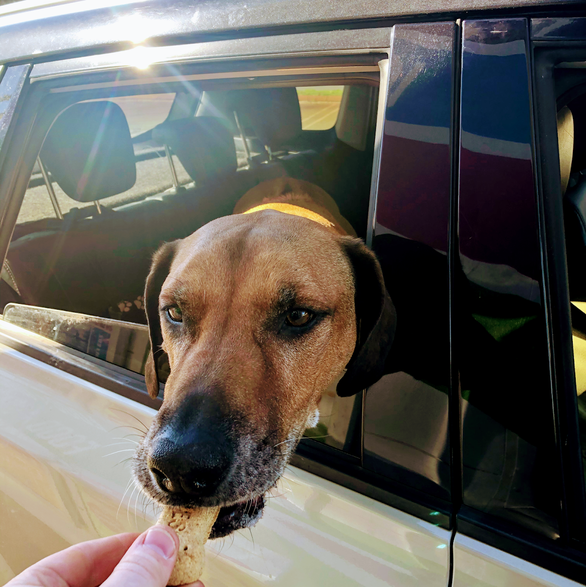 Muzz Buzz - Bluff Point Photos 2